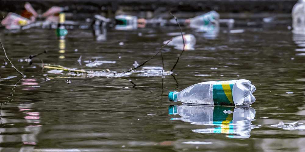 1691374630115736.png 640.png